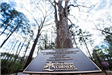 Heritage Tree Plaque