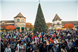 Crowd Gathered by Holiday Tree