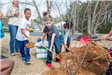 Children Planting a Tree