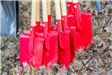 Small Red Shovels