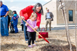 Woman Helping Child Dig
