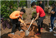Children Digging Hole for Tree