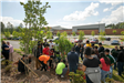 Group Planting a Tree