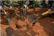 Putting Soil over the Roots of Newly Planted Tree