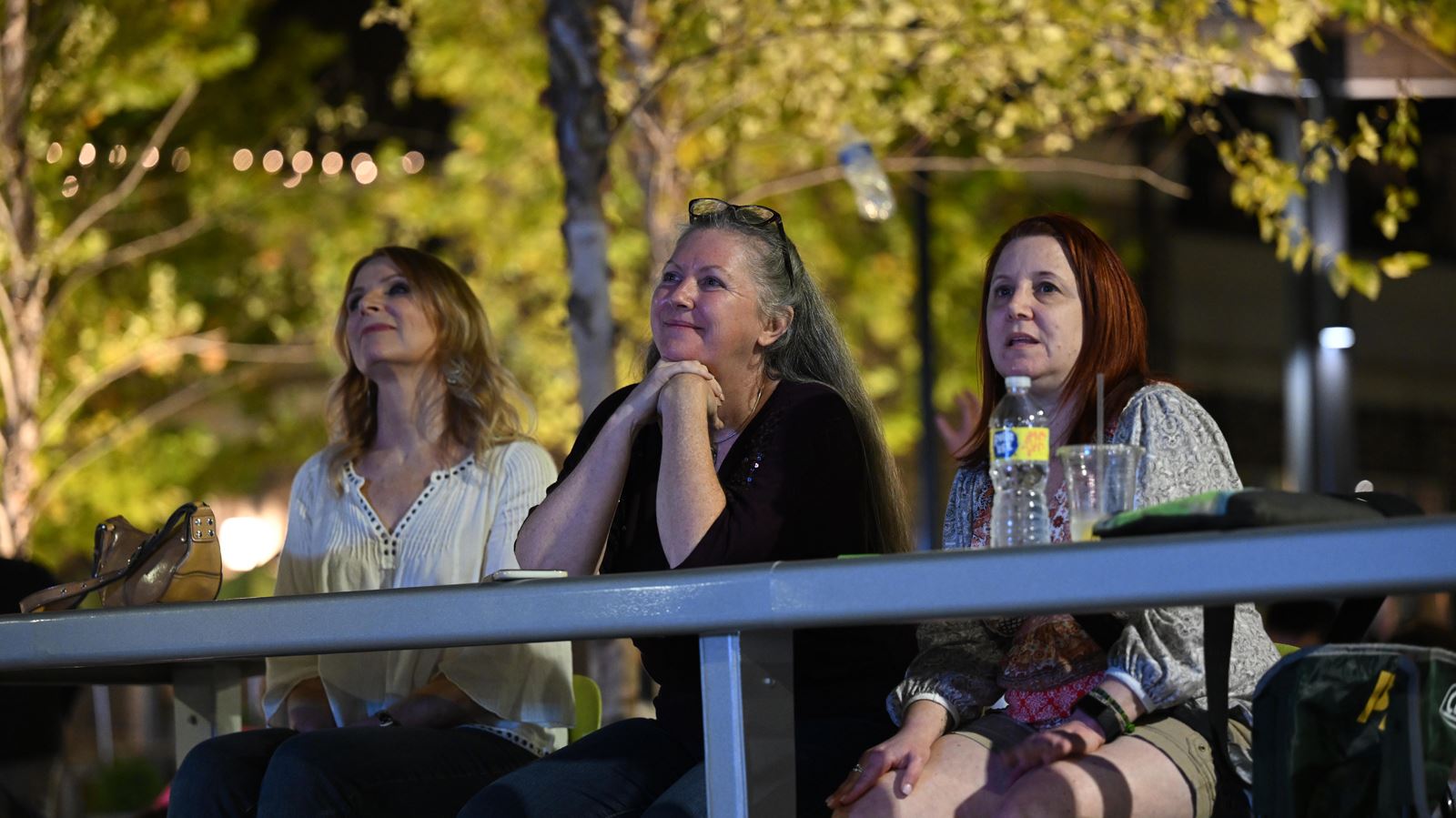 Shots of band and audience at the Vertical Horizon concert