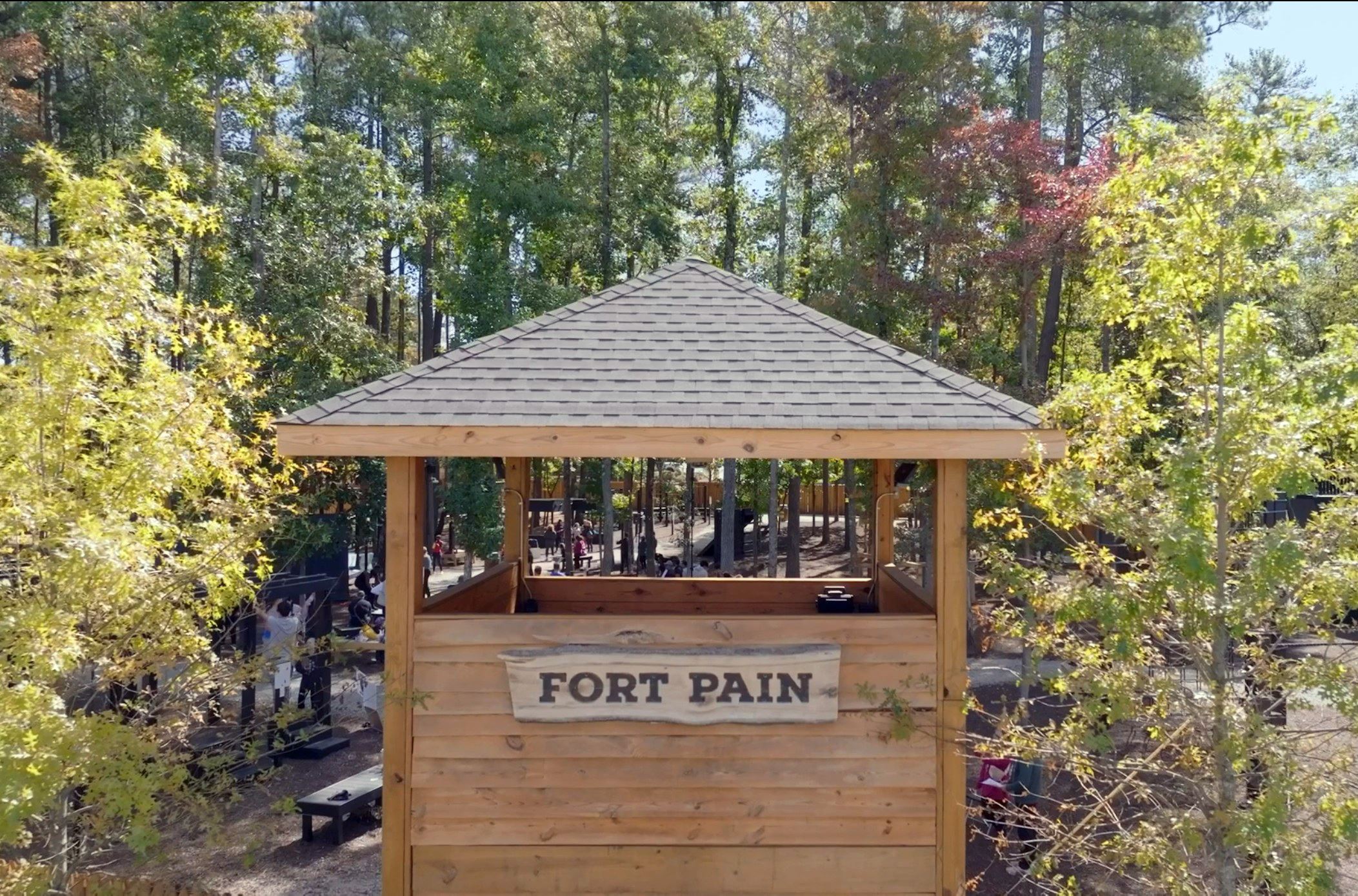 Fort Pain