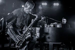 The Stranger band members