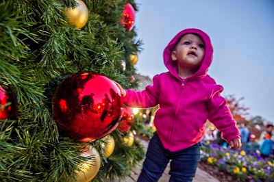 Young Child Standing Near Holiday Tree
