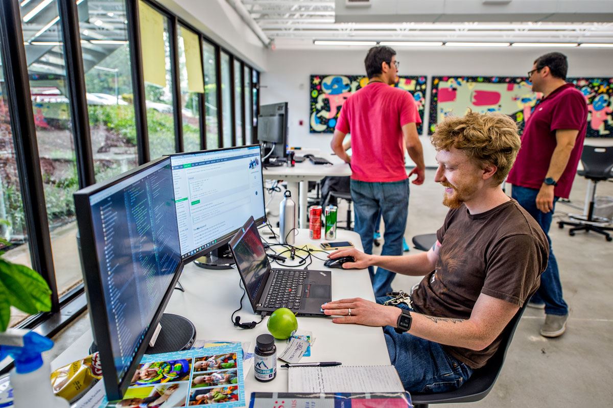 Person Working at a Computer