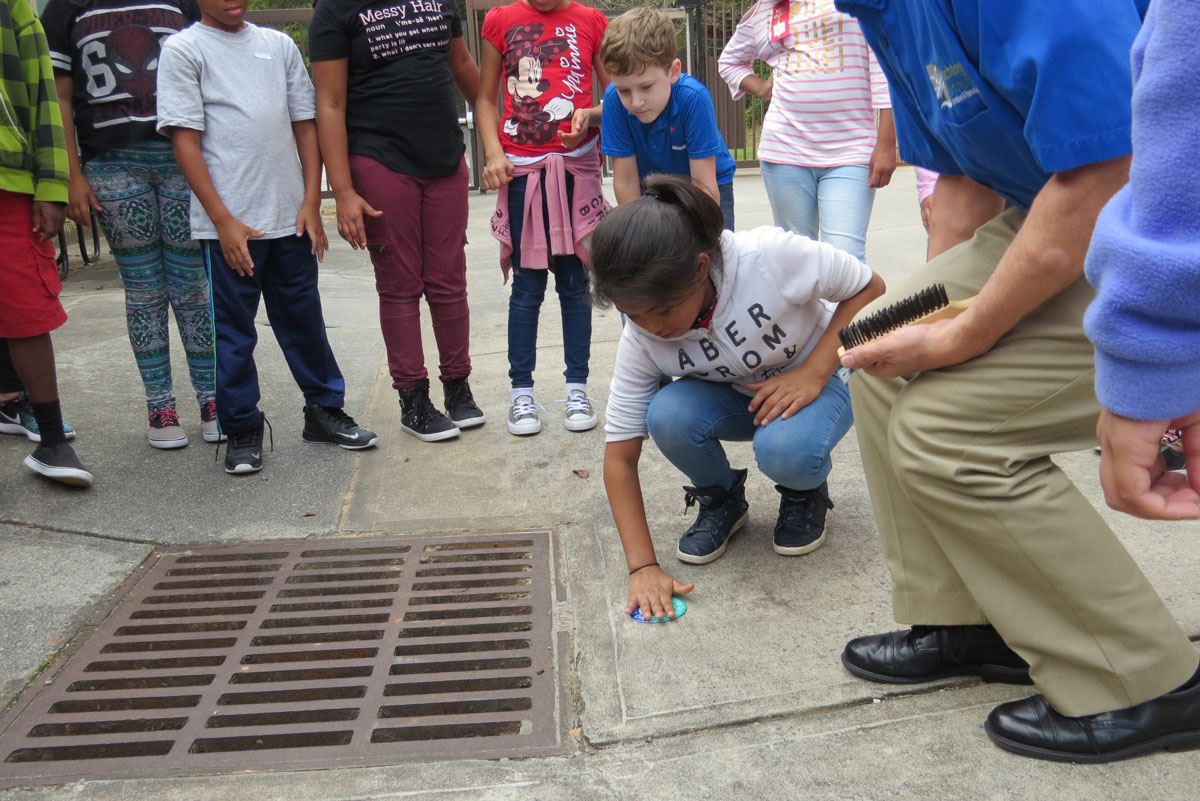 Child Labeling a Storm Drain