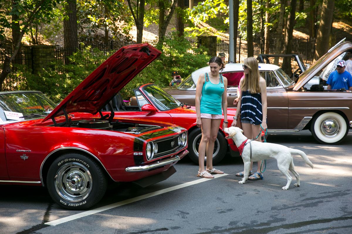 People with Dog Looking at a Classic Car