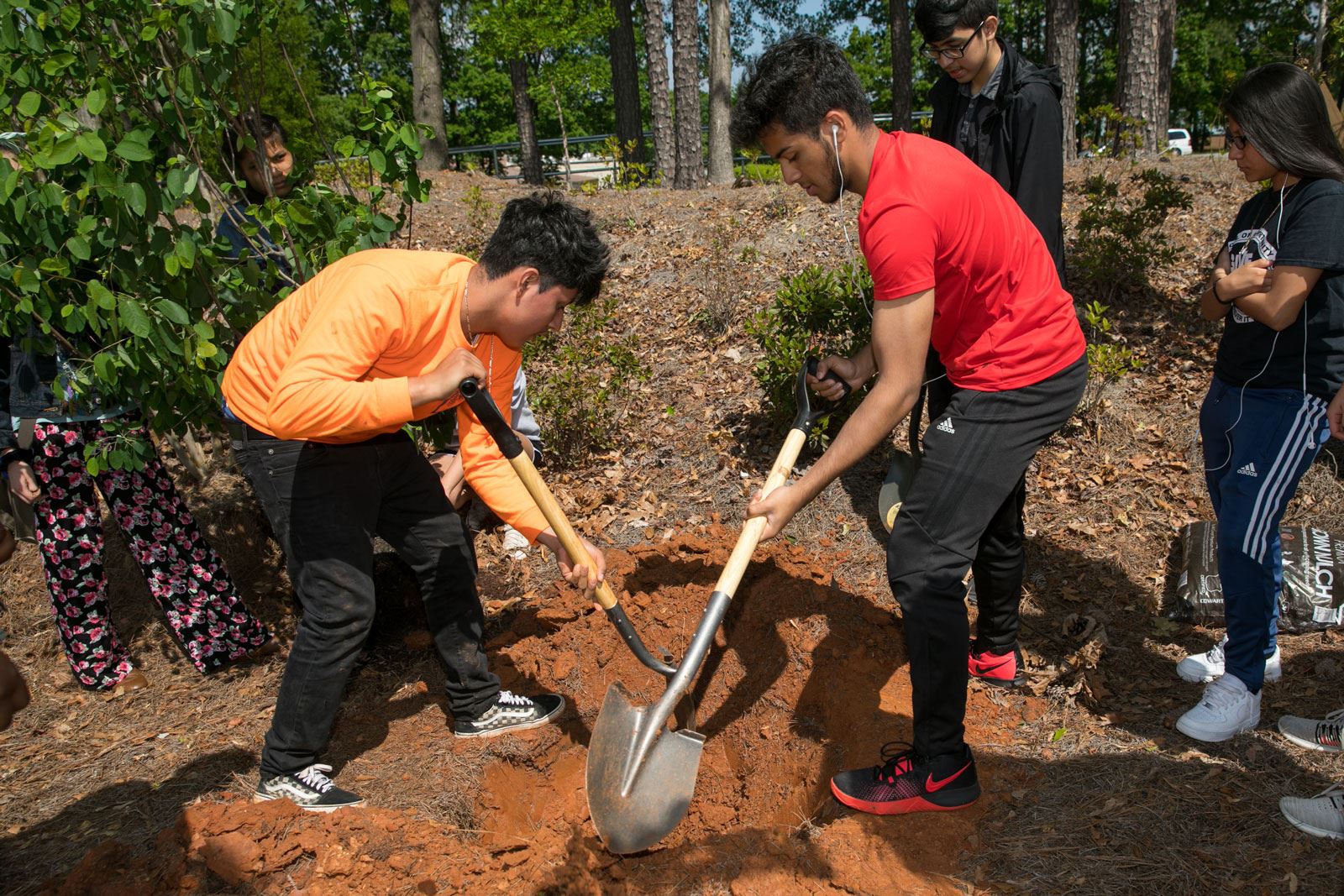 Children Digging Hole for Tree