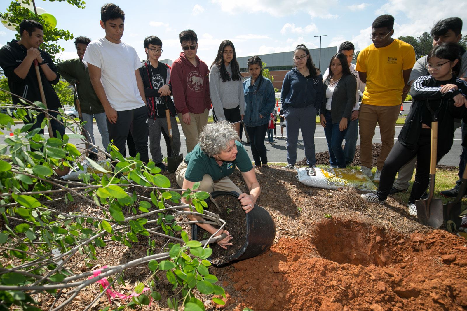Woman Planting Tree