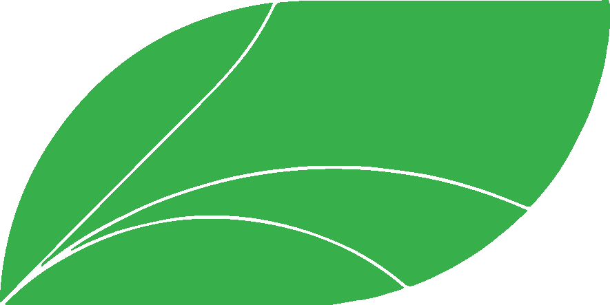 Finance Leaf